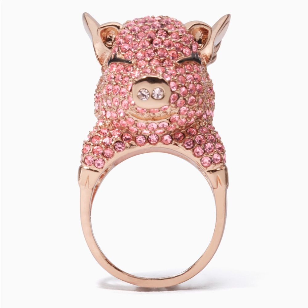 Jewelry Set!! If Pigs Could Fly by kate spade NY
